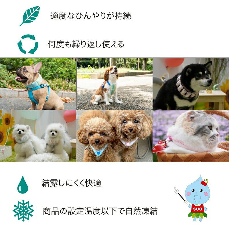 SUO SUO(R) 公式2026年新商品 Made ln Japan SUO 18°ICE for dogs