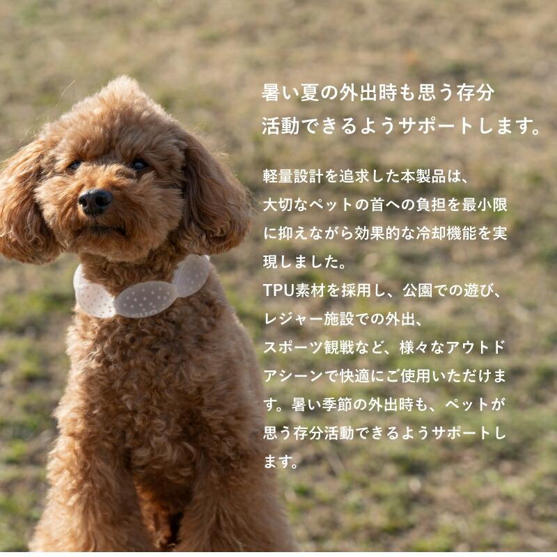 SUO SUO(R) 公式2026年新商品 Made ln Japan SUO 18°ICE for dogs