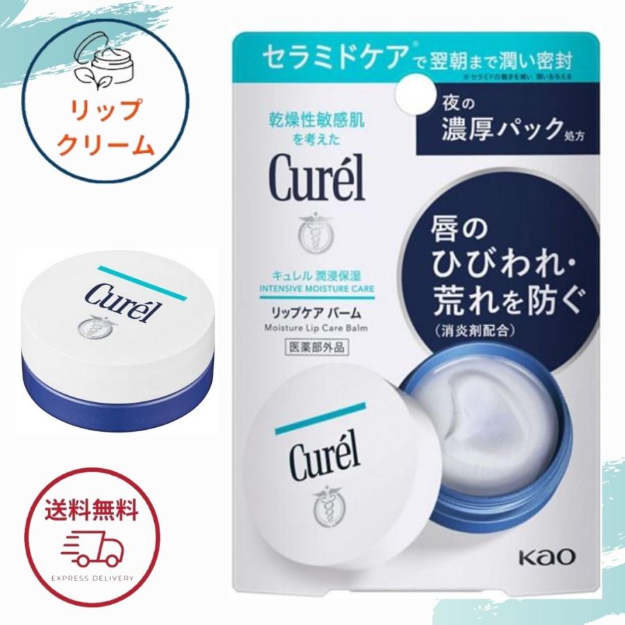 Curel 花王 キュレル リップケア バーム 4.2g リップバーム 全国送料