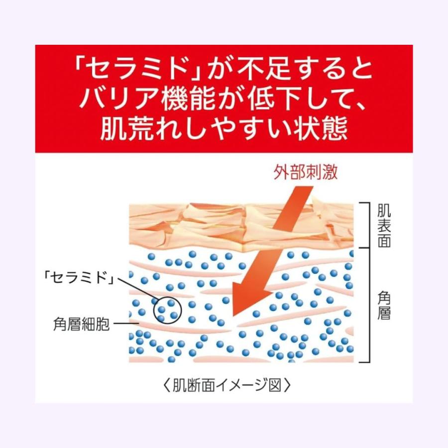 Curel 花王 キュレル エイジングケアシリーズ 化粧水 140ml Curel 花王 キュレル エイジングケアシリーズ 化粧水 140ml