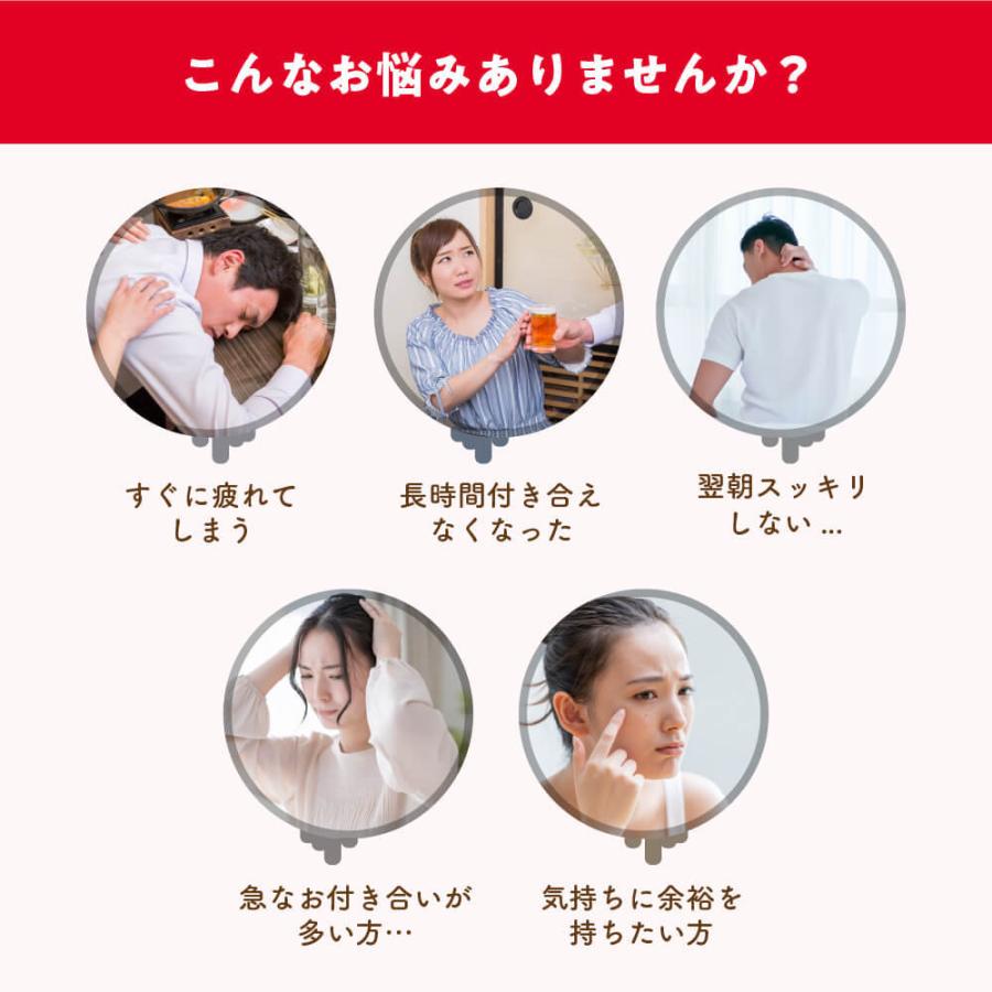 スパリブ SUPALIV 10粒入り1箱 肝臓 二日酔い サプリ ビタミン ウコン|supaliv|04