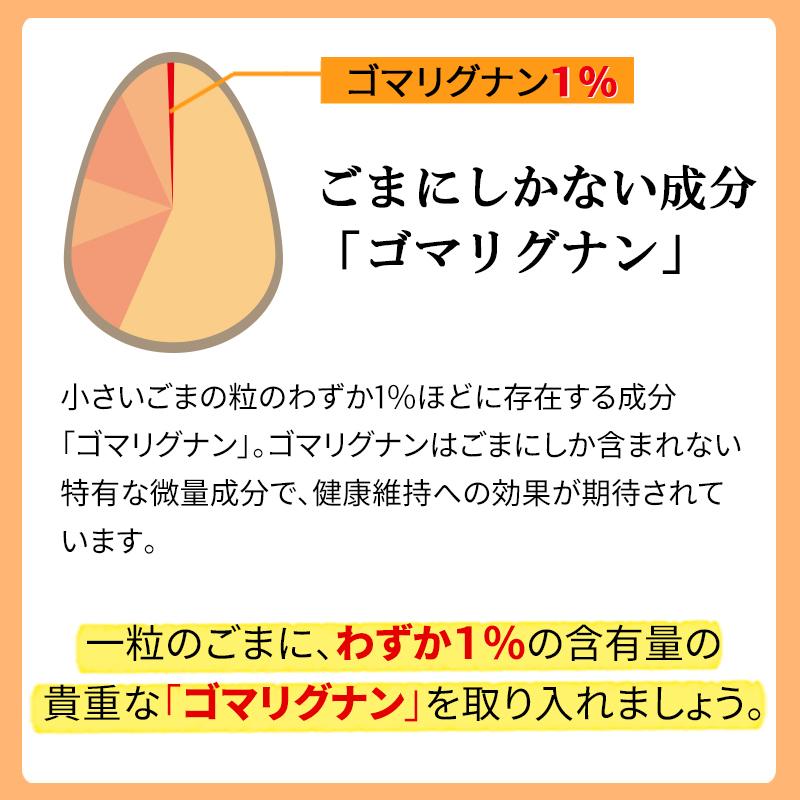 波里 いりごま 白 600g 胡麻(ごま) ゴマ いり胡麻 業務用｜super-foods-japan｜06