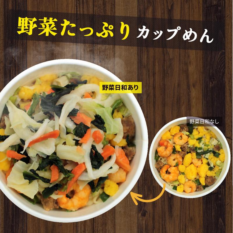 乾燥野菜ミックス 国産 野菜日和 100g×2袋 無添加 キャベツ ほうれん草 人参 玉ねぎ｜super-foods-japan｜12