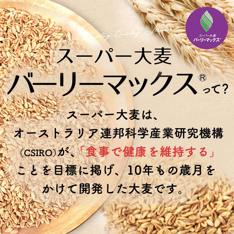 スーパー大麦 バーリーマックス 900g 送料無料 腸活 レジスタントスターチ β-グルカン フルクタン｜super-foods-japan｜02