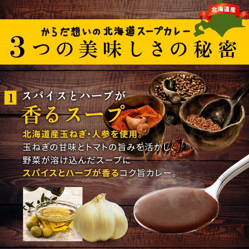 スープカレー レトルトカレー 2食(300g×2袋) 北海道からだ想いのスープカレー グルテンフリー 糖質オフ｜super-foods-japan｜02