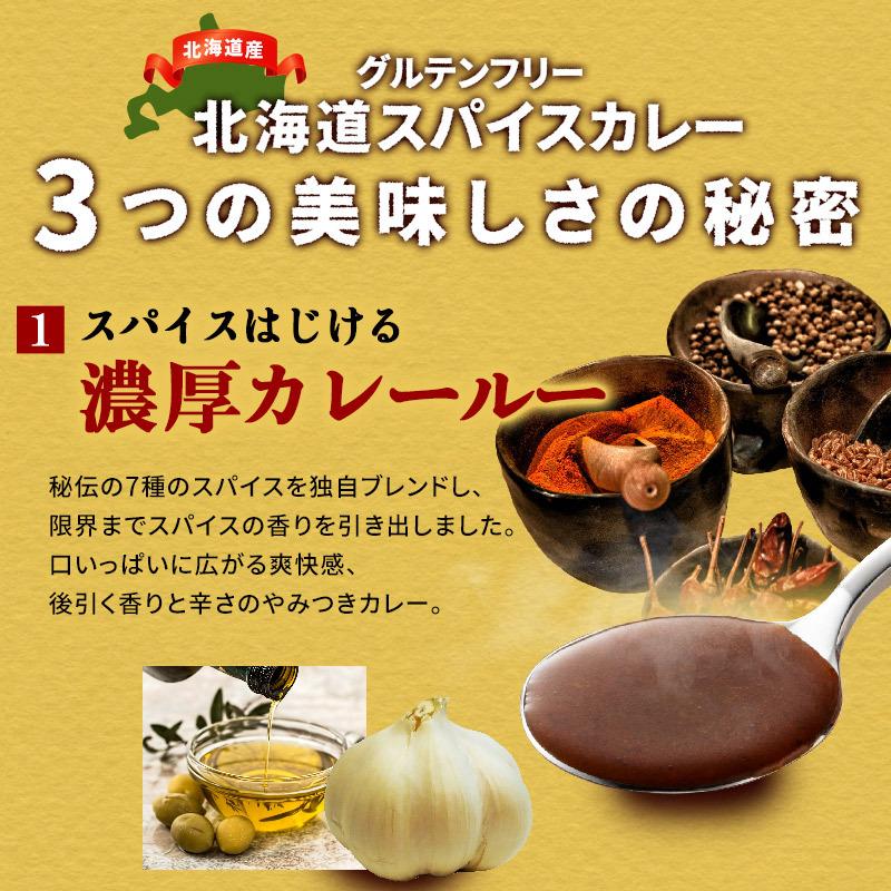 レトルトカレー グルテンフリー 北海道スパイスカレー 3食セット 中辛 ほぐし肉カレー カレー レトルト｜super-foods-japan｜03