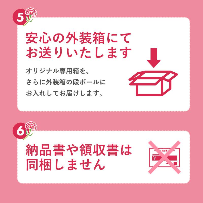 遅れてごめんね！母の日 ギフト スイーツ プレゼント 水ようかん こしあん 110g×15個 送料無料 無添加 プレゼント 和楽｜super-foods-japan｜05