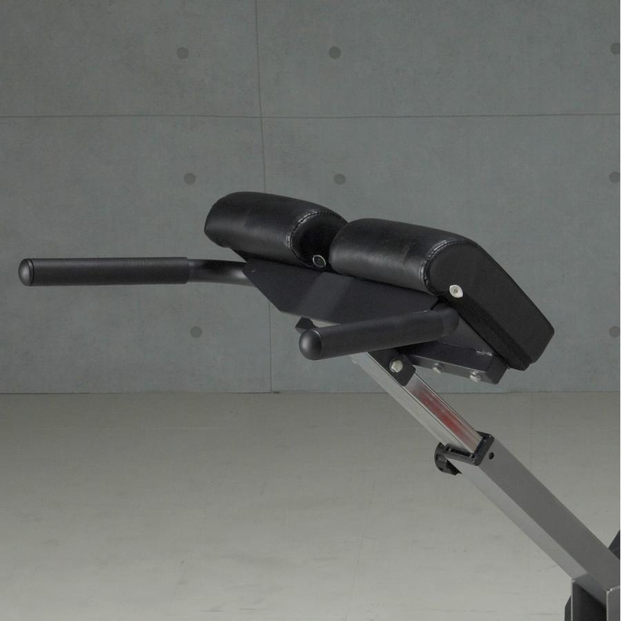 IROTEC IROTEC(アイロテック)バックエクスHPM/ 背筋 背筋強化 IROTEC IROTEC(アイロテック)バックエクスHPM/ 背筋 背筋強化