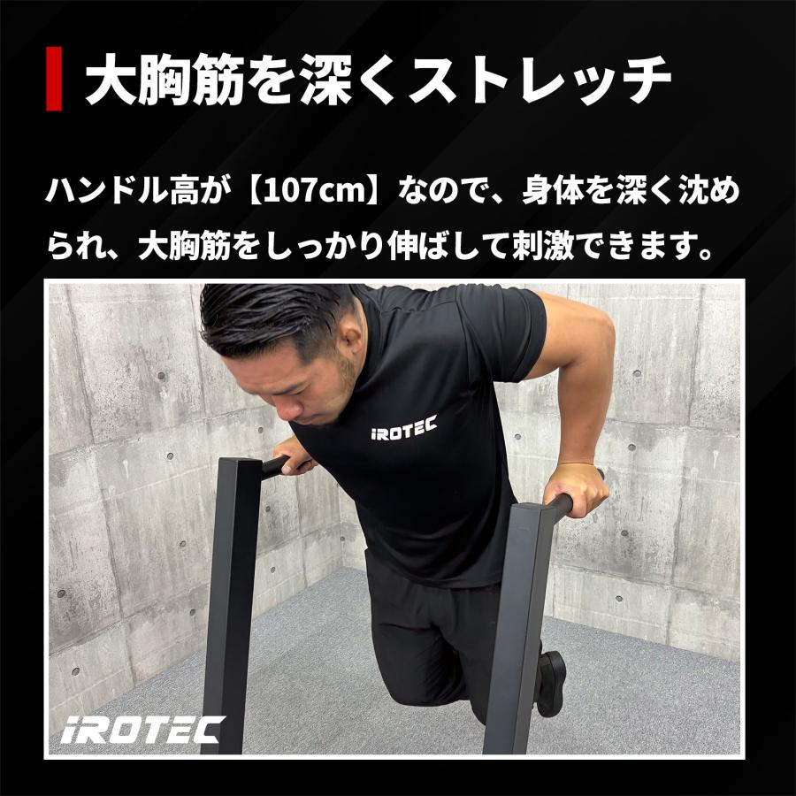 IROTEC（アイロテック） 本州送料無料 NEWディップ&ハンギングスタンド