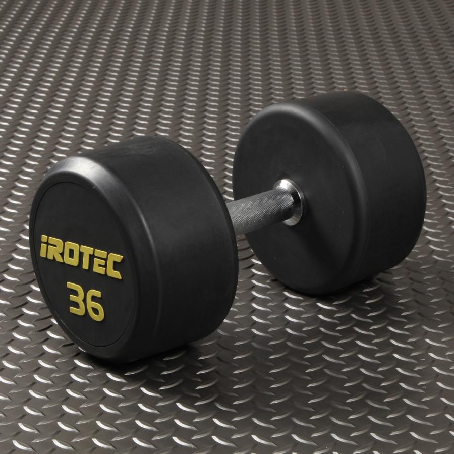 IROTEC IROTEC(アイロテック)ジムダンベル 36KG/ダンベル トレーニング 