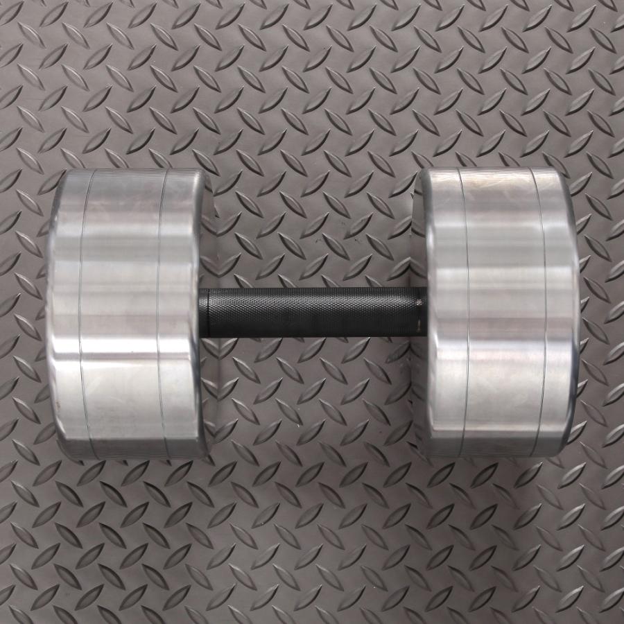 IROTEC（アイロテック） ハードクロームジムダンベル46KG / ダンベル 