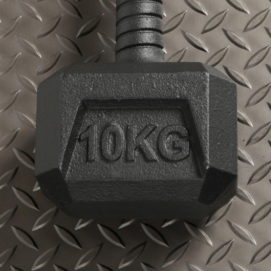 IROTEC（アイロテック） アイアンハンマー10KG / ダンベル ケトルベル