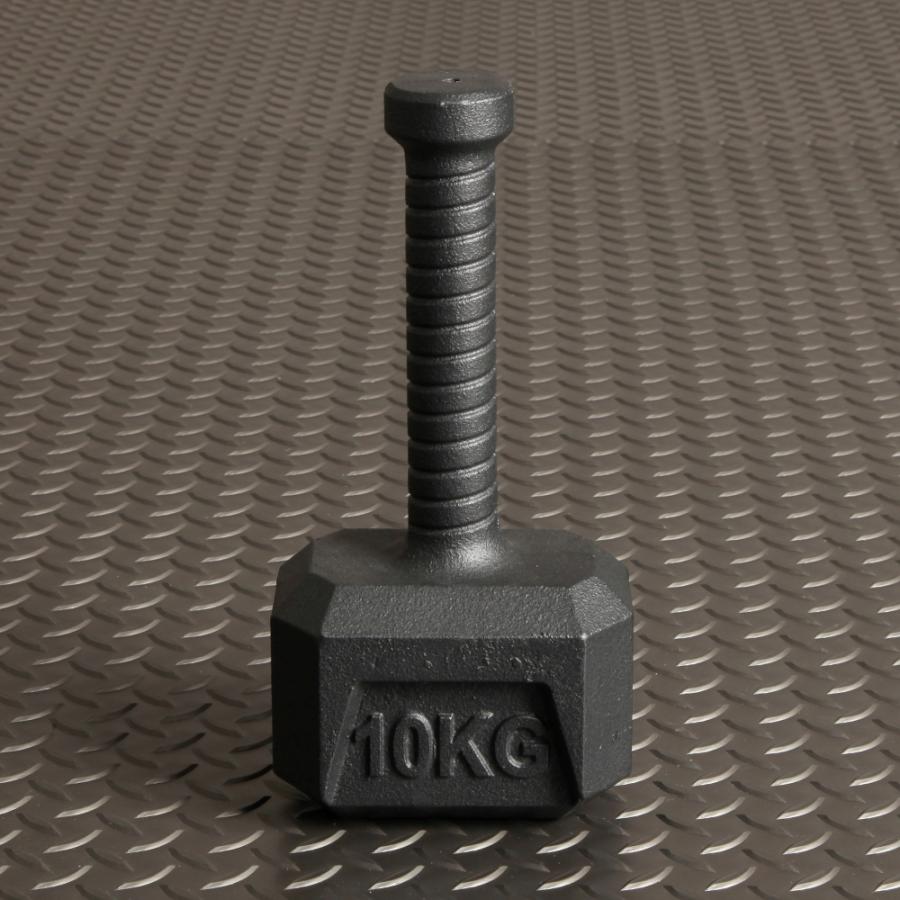 IROTEC（アイロテック） アイアンハンマー10KG / ダンベル ケトルベル