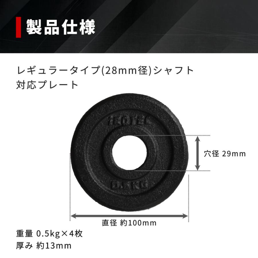 アイロテック プレート 別売り！ IROTEC [10日-13日はPアップ] 500gプレート IROTEC