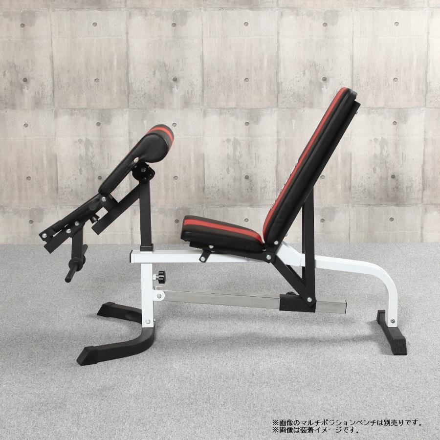 IROTEC IROTEC(アイロテック)マルチポジションベンチ専用 IROTEC IROTEC(アイロテック)マルチポジションベンチ専用