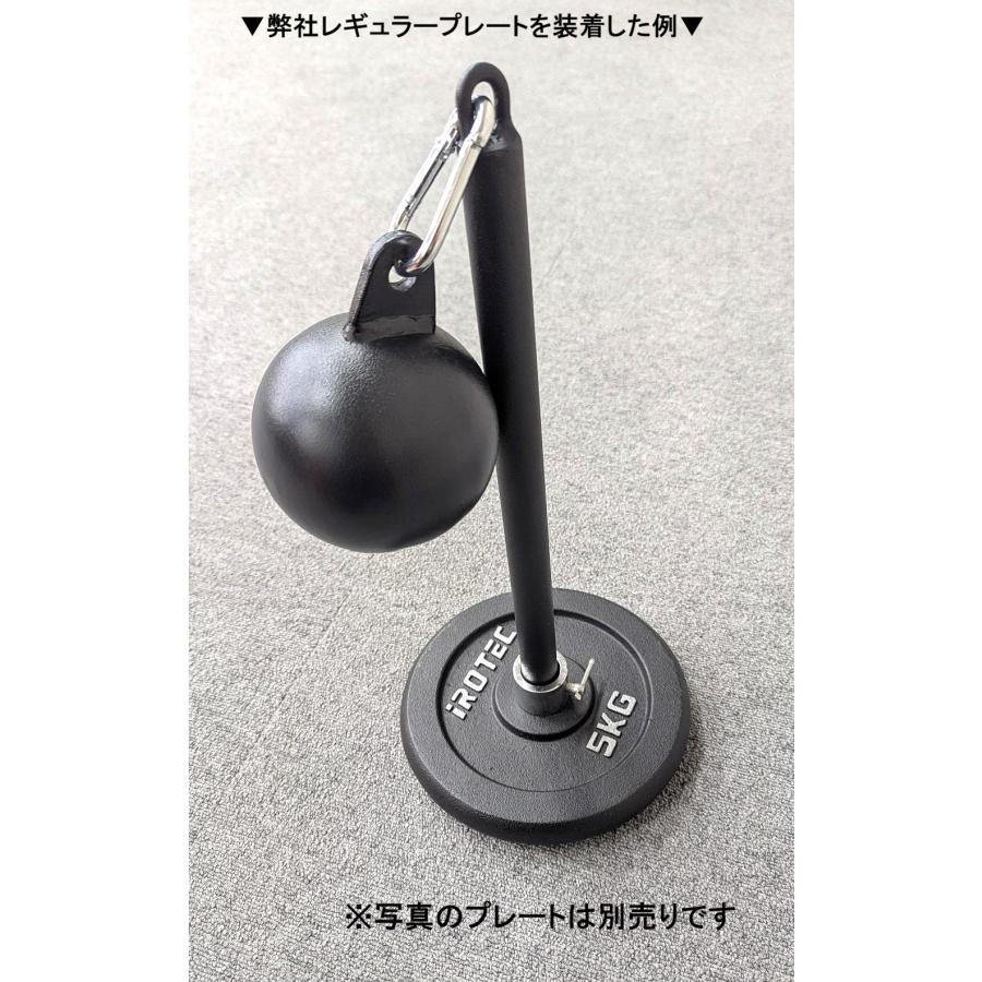 IROTEC（アイロテック） [アウトレット品]グラブボール/ダンベル 握力