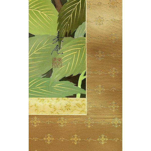 川島麦庵『紫陽花』日本画 【ざくら】 【掛け軸・新品】