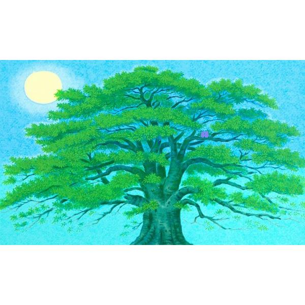 吉岡浩太郎　大樹 Amazon.co.jp: 吉岡浩太郎『大樹大衣（ブラウン）』シルク