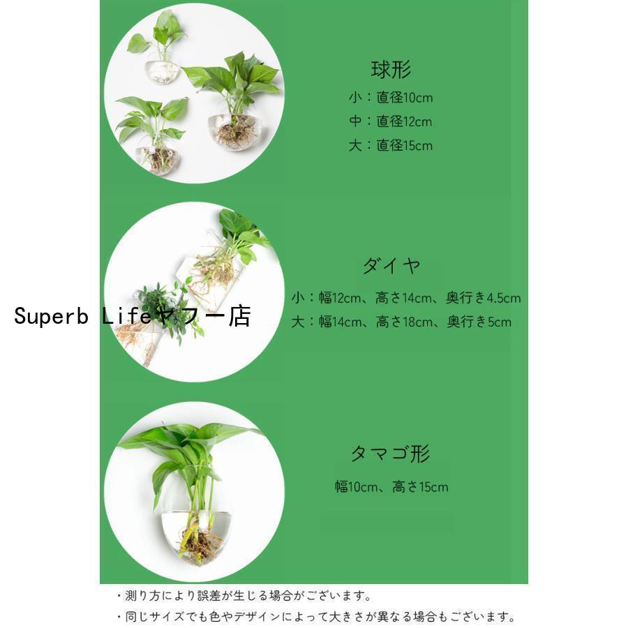 壁掛け花瓶 花瓶 ガラス 円形 花形 三角形 フラワーベース 一輪挿し 水耕栽培 個性的 おしゃれ インテリア 涼しげ｜superblife｜06