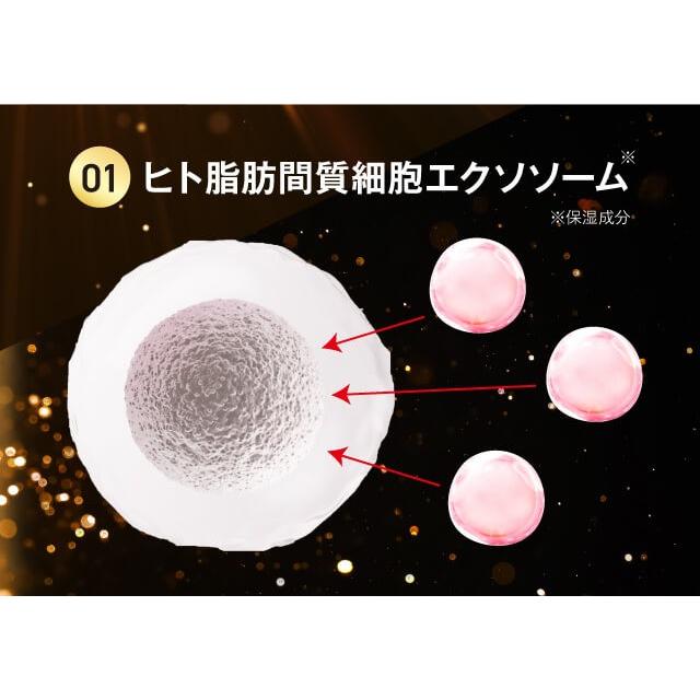 セット】 HAIRMO ヘアモ IKUMO 育毛剤 100ml X5 導入液 エックス