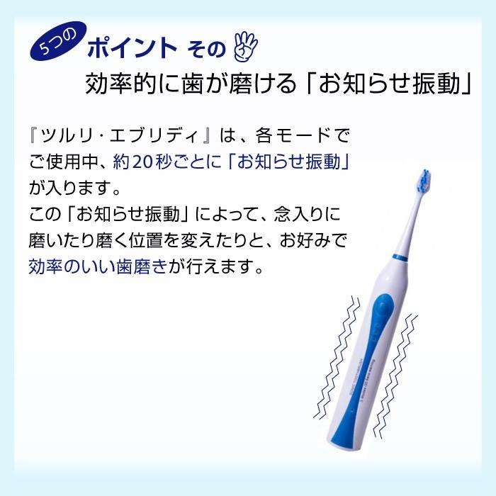 音波電動歯ブラシ ツルリ・エブリディ 【お得な2台セット】電動 歯ブラシ 充電式 本体 音波 替えブラシ付 ブラシ 高性能  口臭 虫歯 充電｜supereagle｜10