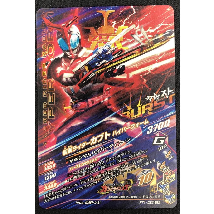 仮面ライダーバトル ガンバライジング 仮面ライダーカブト 仮面ライダーバトル ガンバライジング 仮面ライダーカブト