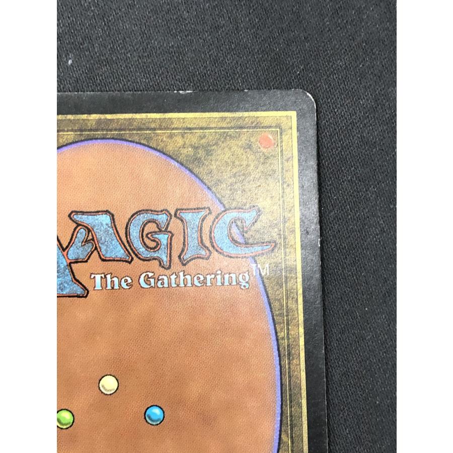 ウィザーズ・オブ・ザ・コースト MTG《キズ有り》【ヤヴィマヤのうろ穴
