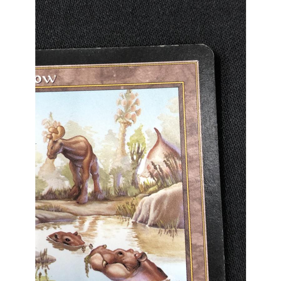 ウィザーズ・オブ・ザ・コースト MTG《キズ有り》【ヤヴィマヤの