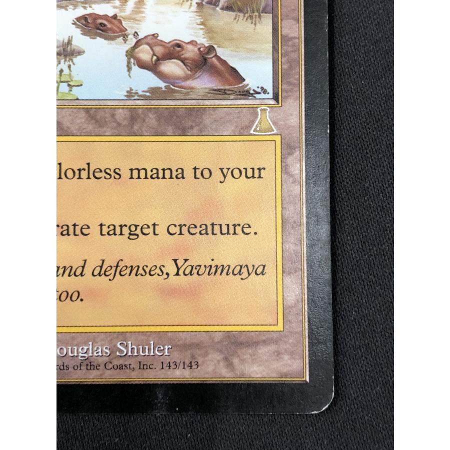 匿名受取】ヤヴィマヤのうろ穴 Yavimaya Hollow 4枚 ウィザーズ・オブ・ザ・コースト MTG《キズ有り》【ヤヴィマヤの