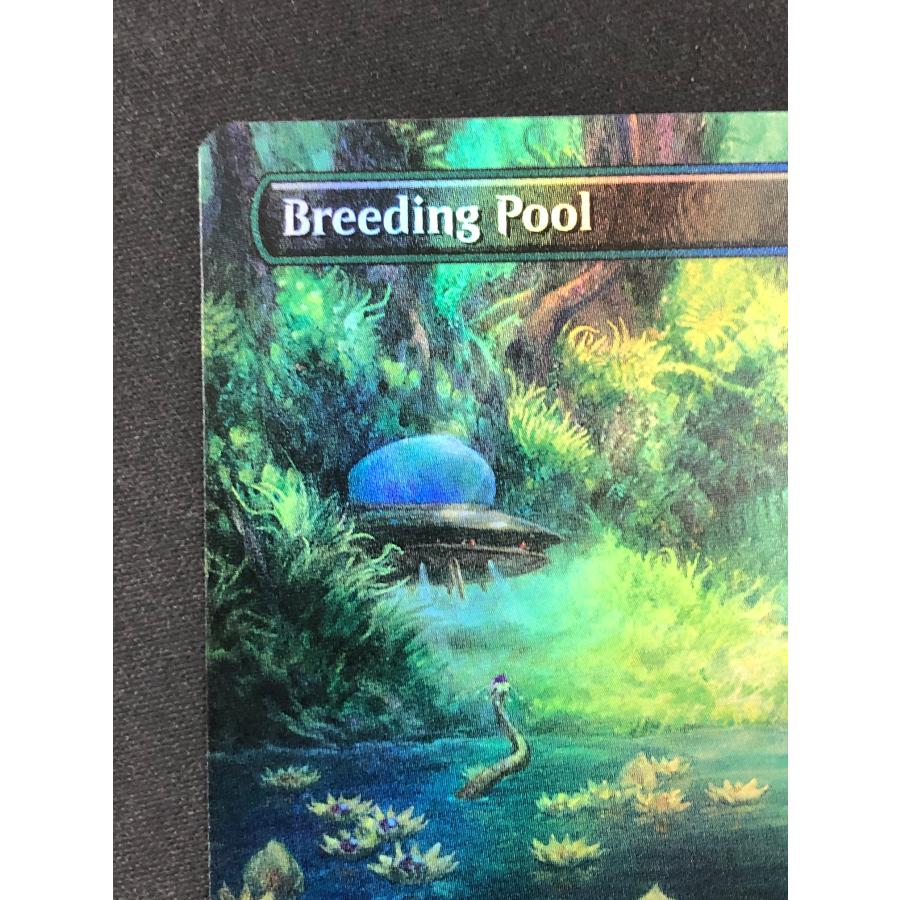 MTG【繁殖池/Breeding Pool】《UNF-280》[EN][FOIL][ボーダーレス] R