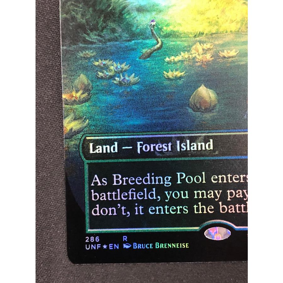 Magic: The Gathering（マジック：ザ・ギャザリング） MTG【繁殖池