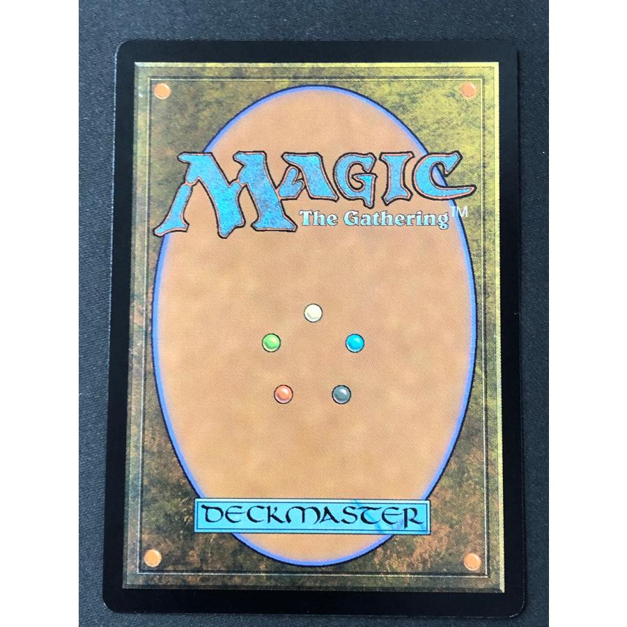 ウィザーズ・オブ・ザ・コースト MTG【マイコシンスの庭/The Mycosynth