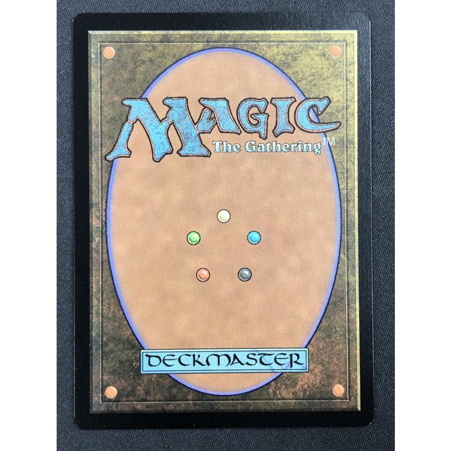 ウィザーズ・オブ・ザ・コースト MTG【沸騰する小湖/Scalding Tarn
