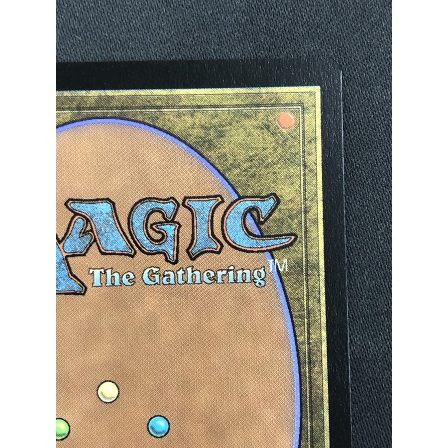 ウィザーズ・オブ・ザ・コースト MTG【沸騰する小湖/Scalding Tarn