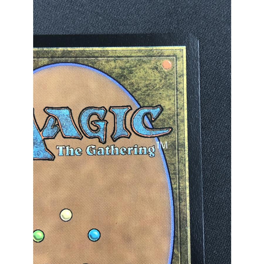 ウィザーズ・オブ・ザ・コースト MTG【乾燥台地/Arid Mesa ウィザーズ・オブ・ザ・コースト MTG【乾燥台地/Arid Mesa