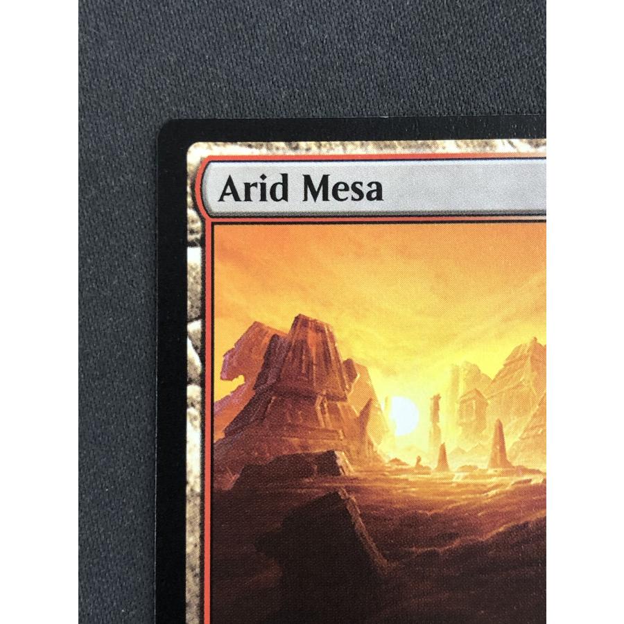 ウィザーズ・オブ・ザ・コースト MTG【乾燥台地/Arid Mesa ウィザーズ・オブ・ザ・コースト MTG【乾燥台地/Arid Mesa