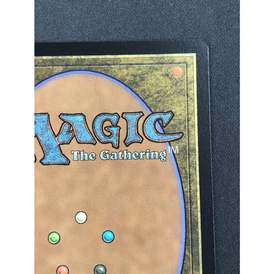ウィザーズ・オブ・ザ・コースト MTG【霧深い雨林/Misty Rainforest