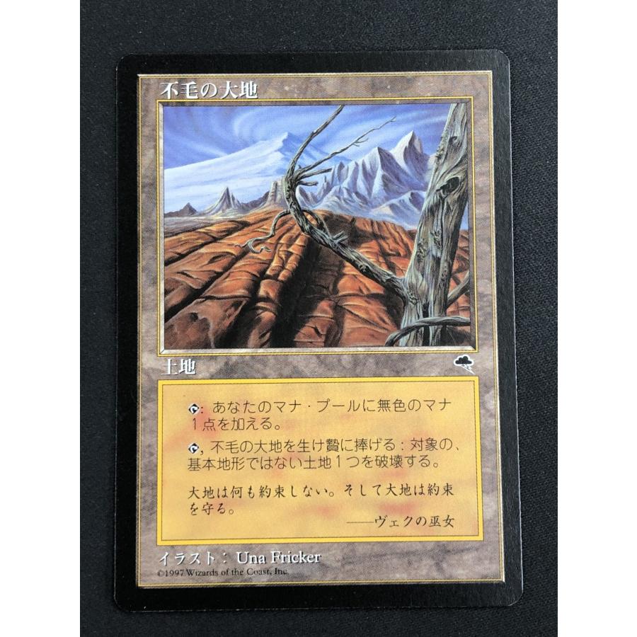 ウィザーズ・オブ・ザ・コースト MTG【不毛の大地/Wasteland】《TMP