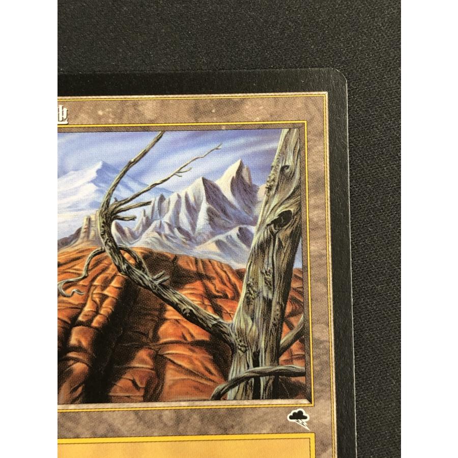 ウィザーズ・オブ・ザ・コースト MTG【不毛の大地/Wasteland】《TMP