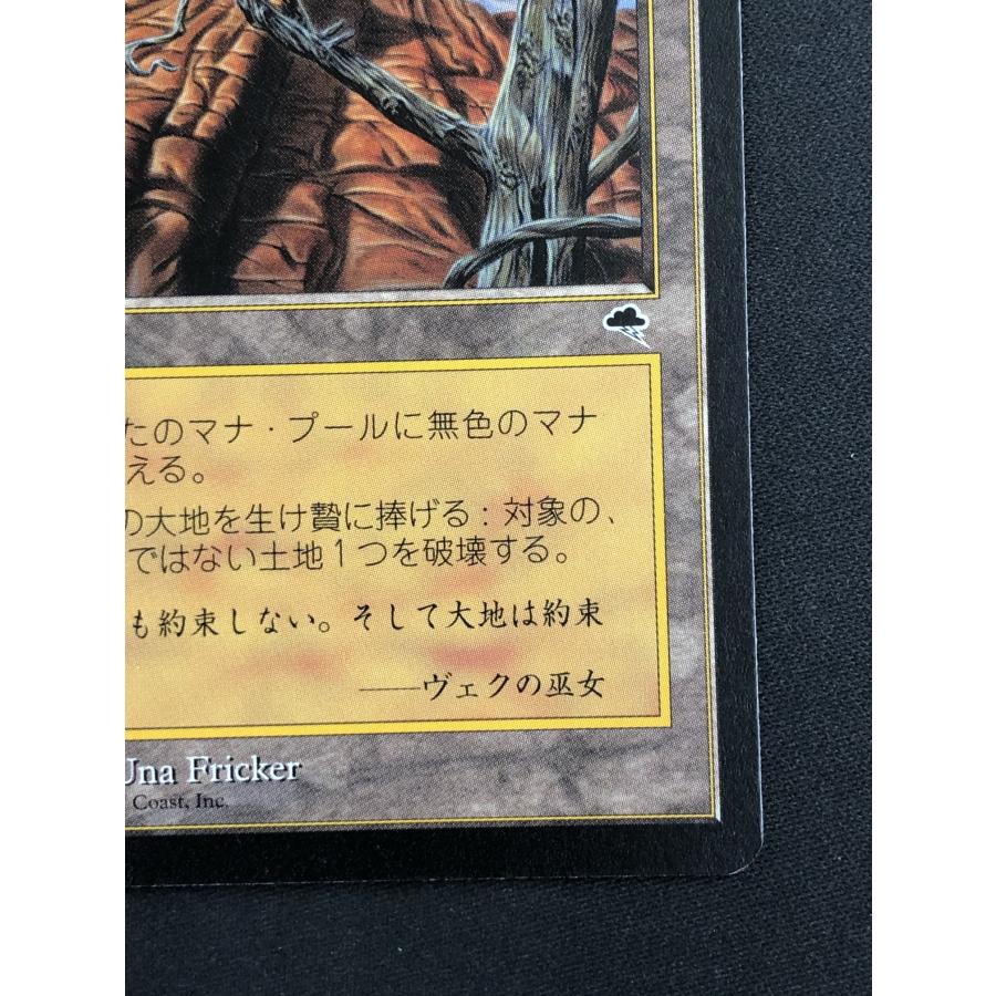 ウィザーズ・オブ・ザ・コースト MTG【不毛の大地/Wasteland】《TMP