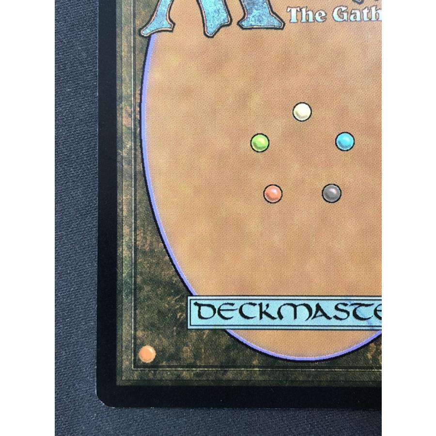ウィザーズ・オブ・ザ・コースト MTG【黒割れの崖/Blackcleave