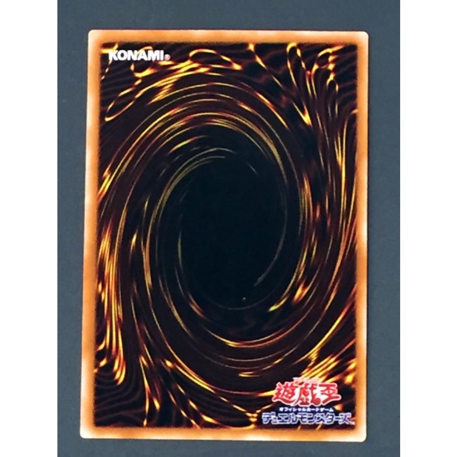 遊戯王 暗黒の魔導師 307-010 コナミデジタルエンタテインメント 遊戯王 307-010 混沌の黒魔術
