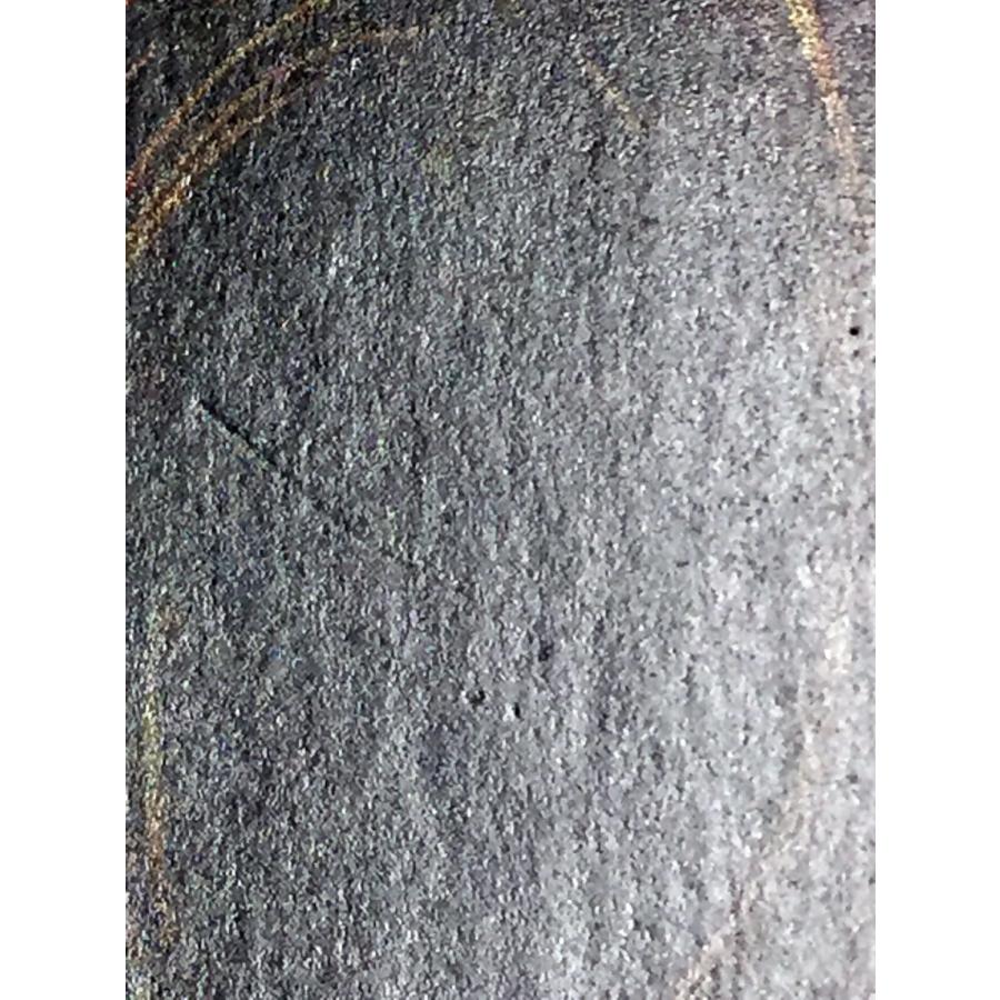 遊戯王 (キズ有) 聖なるバリア −ミラーフォース− (パラレル