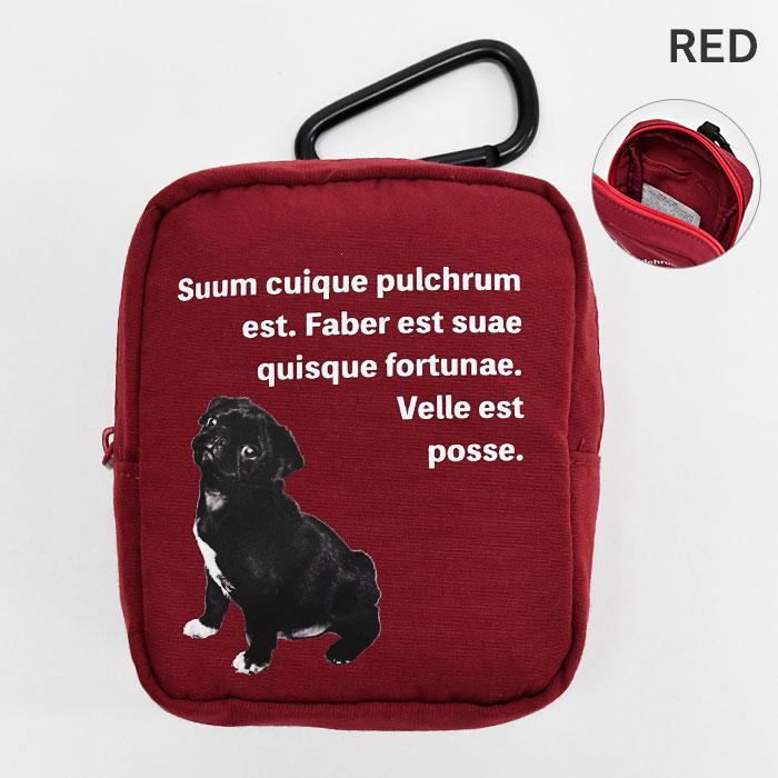 猫 ねこ 犬 いぬ ハチワレ エキゾチックショートヘア ミニチュア