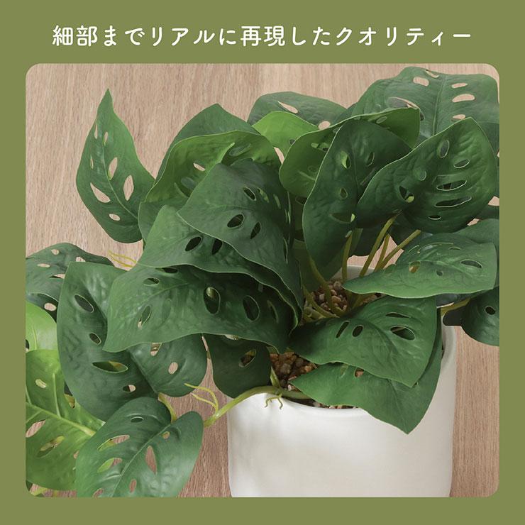 人工観葉植物 フェイクグリーン モンステラ セラミックポット 卓上 人工植物 観葉植物 おしゃれ フェイク 造花 グリーン インテリア｜superkagu｜05