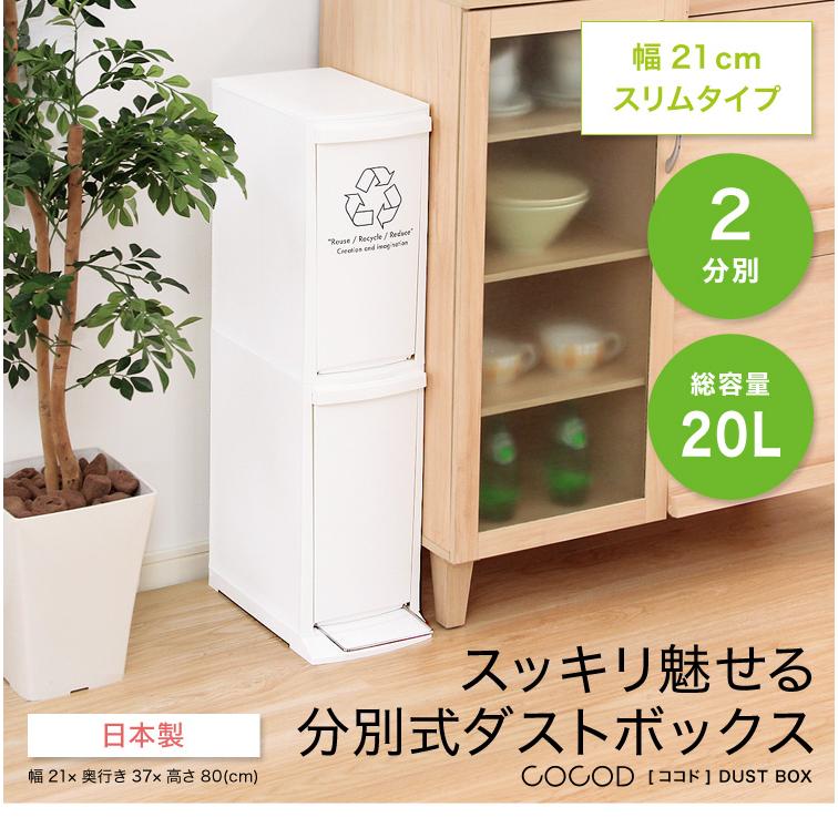 DT ダストボックス ゴミ箱 2分別 スリム ふた付き 日本製 20L 20