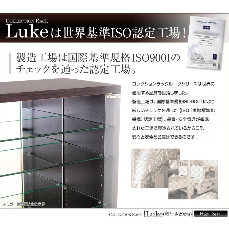 コレクションラック 収納棚 ガラスケース ショーケース 上置き