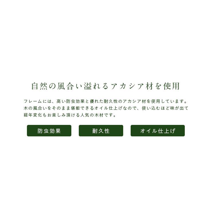 ガーデンチェア ガーデンチェアー 折りたたみチェア 折りたたみチェアー 高さ調節付 フォールディング デッキチェア NX-512｜superkagu｜06