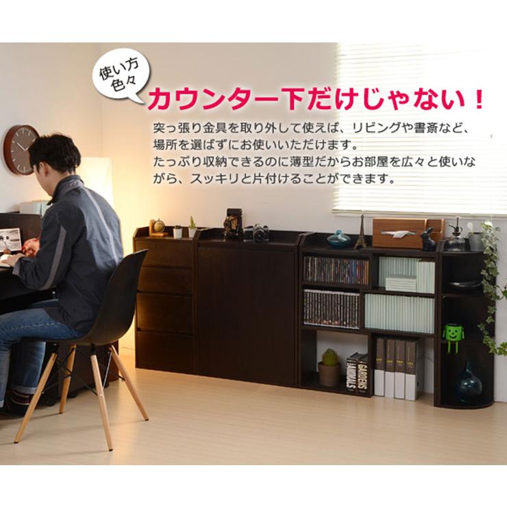 収納家具 キッチン収納 薄型 奥行22cm 可動棚 リビングラック キッチンカウンター ローチェスト スリム キッチン カウンター下収納 扉 幅60cm YHK-0205 2色対応の画像