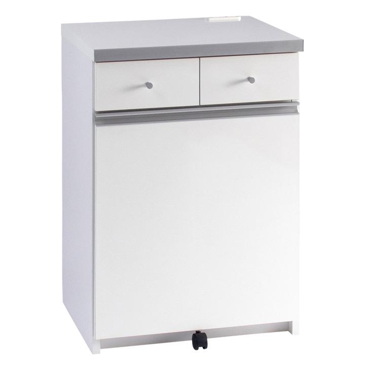 日本製 完成品 ペール2個付き キッチン収納 幅55cm キッチンカウンター